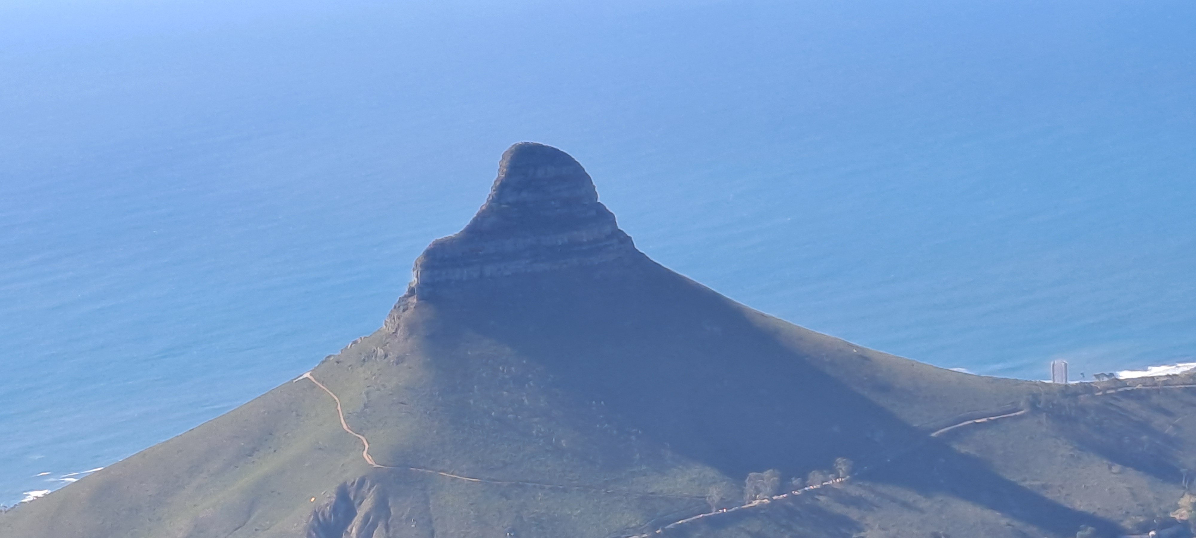 Lion's head